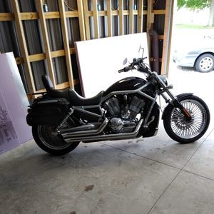 Meet your Posher, Harry